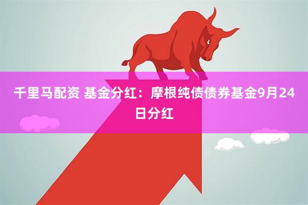 千里马配资 基金分红：摩根纯债债券基金9月24日分红