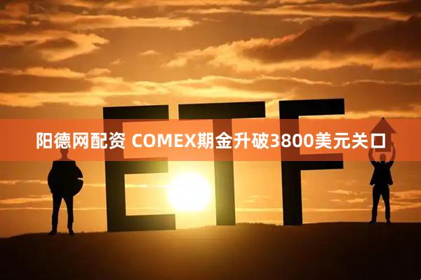阳德网配资 COMEX期金升破3800美元关口
